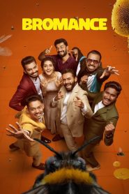 Bromance 2025 Hindi ORG Dual Audio HDRip ESub