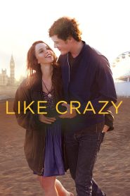 Like Crazy 2011 Hindi Dual Audio BluRay ESub