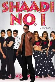 Shaadi No. 1 2005 Hindi HDRip ESub
