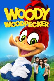 Woody Woodpecker 2017 Hindi ORG Dual Audio BluRay ESub