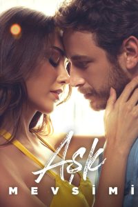 Season of Love 2024 Hindi ORG Dual Audio HDRip ESub